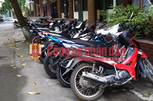 Xe máy của các đối tượng đánh bạc bị tạm giữ.