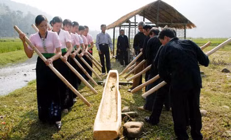Giã cốm của người Tày có nhiều nét tương đồng với người Thái và đồng bào vùng cao phía Bắc. Giã cốm của người Tày có nhiều nét tương đồng với người Thái và đồng bào vùng cao phía Bắc.