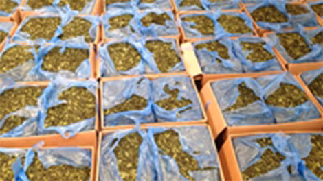 Tang vật lá "khat" thu tại sân bay Tân Sơn Nhất (ảnh do Hải quan cung cấp).