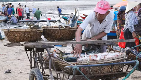 Chợ cá đông người mua bán hơn hồi tháng 4, tháng 5, tuy nhiên nhiều thương lái cho biết họ vẫn dè dặt trong thu mua, chờ thêm công bố chính thức của Bộ Y tế về độ an toàn của cá biển.