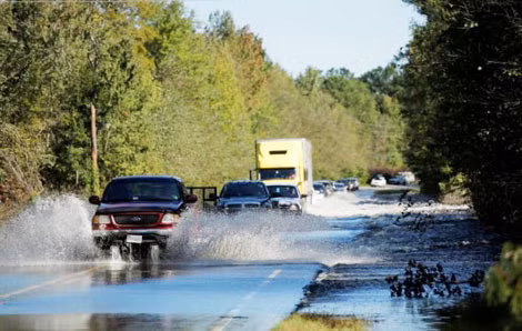 Đường cao tốc 72 North Carolina ngập trong nước.