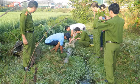 Chiêu trò của các nhà máy xả thẳng nước thải đầu độc môi trường