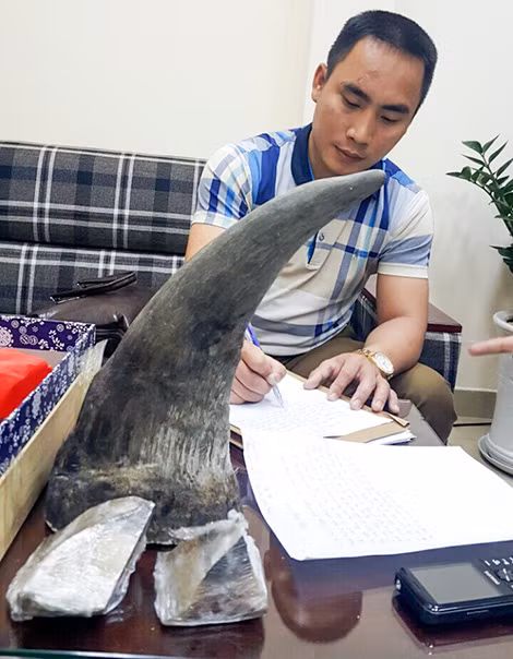 Nguyễn Đức Nguyên và chiếc sừng tê giác bị thu giữ.