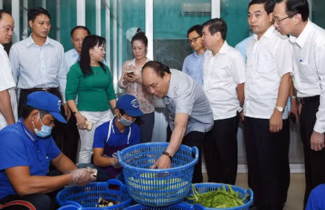 Thủ tướng xuống tận nơi chế biến thực phẩm của cơ sở Tú Anh. Ảnh: VGP/Quang Hiếu.