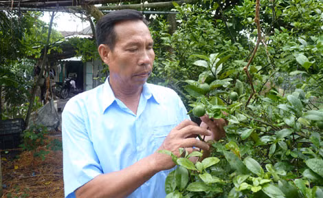 Ông Lưu lạc quan sống và chăm sóc trang trại.