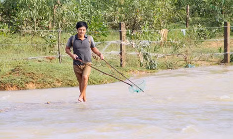 Tranh thủ lúc hồ Kẻ Gỗ xả lũ, người dân huyện Cẩm Xuyên đi rà cá ở các khe nước. Do ảnh hưởng của áp thấp nhiệt đới kết hợp không khí lạnh, từ đêm 13/10, các tỉnh từ Thừa Thiên - Huế trở ra Nghệ An có mưa rất to. Mưa lớn kết hợp thủy điện xả lũ khiến mực nước sông suối dâng cao, tràn vào làng xã, gây ngập nặng ở Quảng Bình, Hà Tĩnh, Nghệ An. Đến chiều 16-10, Hà Tĩnh ghi nhận 4 người chết, hơn 24.000 nhà bị ngập.