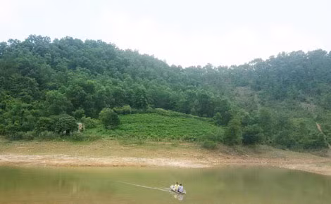 Con đường vào nhà "chúa đảo" phải qua một nhánh hồ và gần 1km đường rừng.