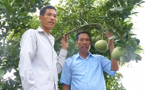 Ông Lưu( bên phải) cùng người em trai.