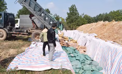 Quảng Bình tiến hành tiêu hủy hơn 606 tấn hải sản. Quảng Bình tiến hành tiêu hủy hơn 606 tấn hải sản.
