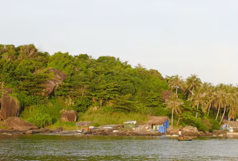Thiên nhiên hoang dã ở đảo Hòn Tre.