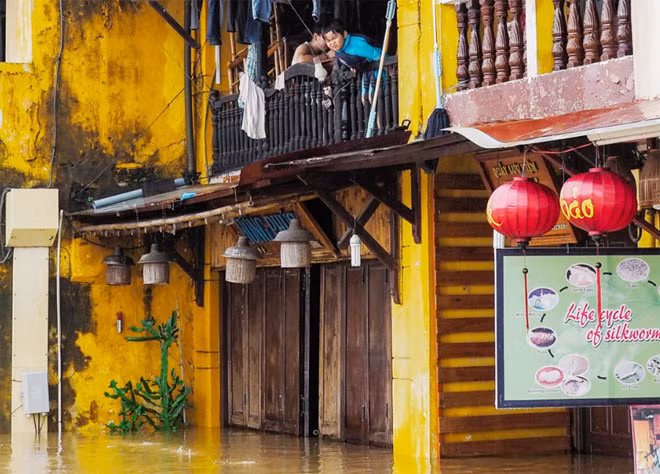 Sự việc do ảnh hưởng của gió mùa đông bắc kết hợp với nhiễu động trong đới gió Đông trên cao nên từ ngày 14/12, các tỉnh từ Quảng Bình đến Ninh Thuận có mưa vừa và mưa to (tổng lượng mưa trên 200 mm).
