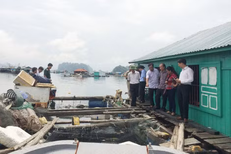 Cơ quan chức năng kiểm tra tại khu vực lồng bè nuôi thủy sản. Cơ quan chức năng kiểm tra tại khu vực lồng bè nuôi thủy sản.