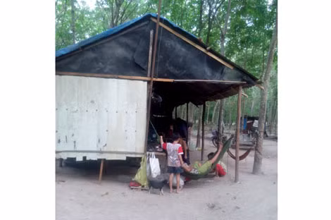 Căn nhà trơ trọi giữa rừng cao su.
