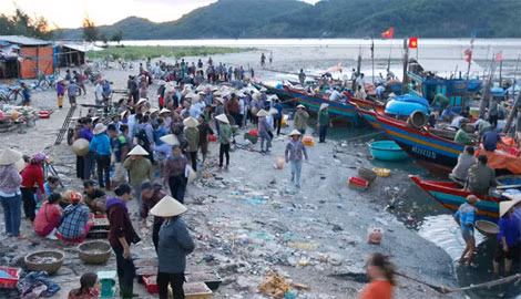 Chợ cá Thạch Kim (Cảng Cửa Sót, xã Thạch Kim, huyện Lộc Hà, Hà Tĩnh) nằm cách nhà máy Formosa khoảng 100 km. Đây là một trong những chợ cá đầu mối lớn nhất tại Hà Tĩnh. Thời điểm xảy ra sự cố môi trường, chợ cá Thạch Kim vắng bóng người, nay chợ bắt đầu hoạt động trở lại.