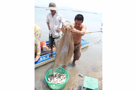 Khai thác cá trên lòng hồ.
