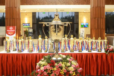 Cup luân lưu FLC Golf Championship 2016, được đặt thiết kế và làm thủ công tại Anh bằng chất liệu inox mạ bạc, trị giá 5.500 USD.