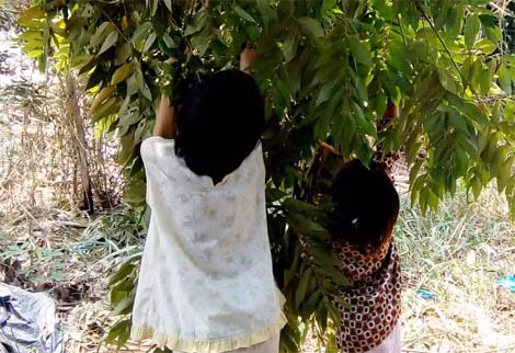 Hai cháu bé bị cha ruột xâm hại.