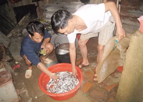 Đêm nào các thầy tại trường cũng hai lần đi kéo cá cải thiện cho các em học sinh.