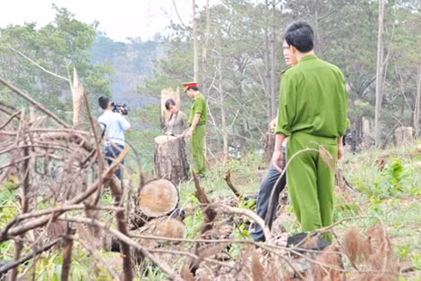 Công an tỉnh Đắk Lắk tiến hành điều tra sai phạm tại một số dự án nông, lâm nghiệp trên địa bàn.