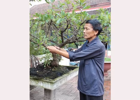 Tác giả Bùi Văn Dung chăm sóc cây cảnh tại nhà riêng.