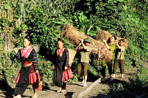 Lực lượng Công an giúp dân.