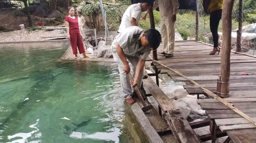 Đà Nẵng kiên quyết xử lý khu du lịch trái phép 
