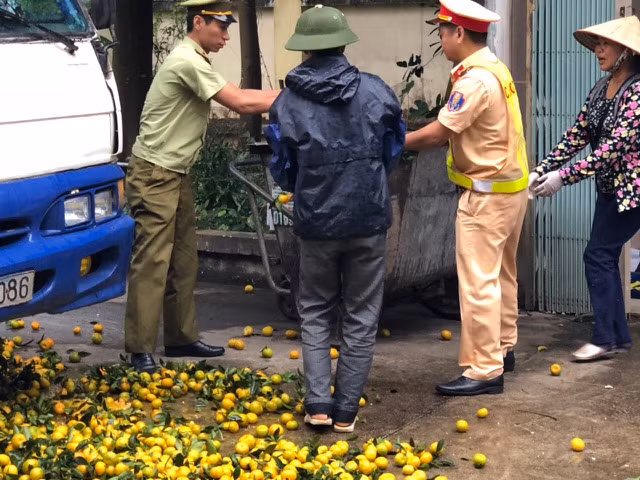 Quýt nhập lậu bị thu giữ tiêu hủy