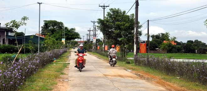 Con đường hoa - chương trình nông thôn mới kiểu mẫu ở Hải Hà (ảnh minh họa)
