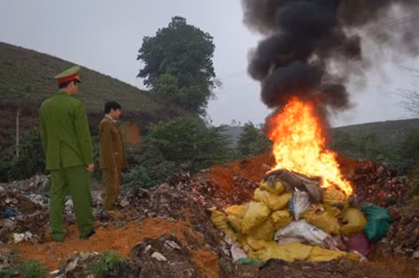 Tiêu hủy 4.330 kg tấn xương động vật hôi thối.