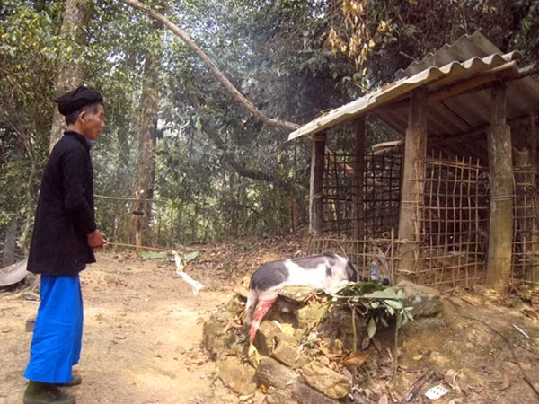 Màn cầu khấn trước khi bắt đầu lễ "Mể lồ pỉ" của chủ tế trước miếu thờ Thần đá.