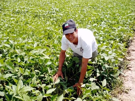 Thông tin thất thiệt khiến người nông dân bị chịu nhiều thiệt hại.