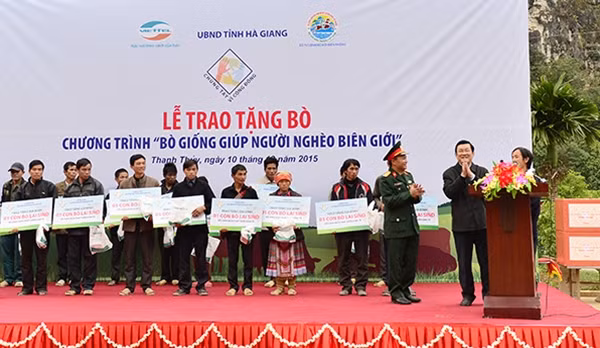 20 hộ nghèo được trao bò giống trong tổng số 50 con bò giống cho các hộ nghèo huyện Vị Xuyên.