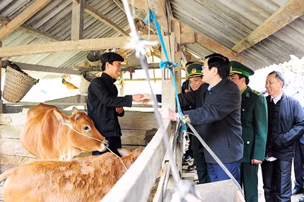 Chủ tịch nước Trương Tấn Sang thăm các hộ gia đình được nhận bò từ chương trình “Bò giống giúp người nghèo biên giới” ở xã Minh Tân, huyện Vị Xuyên, tỉnh Hà Giang.