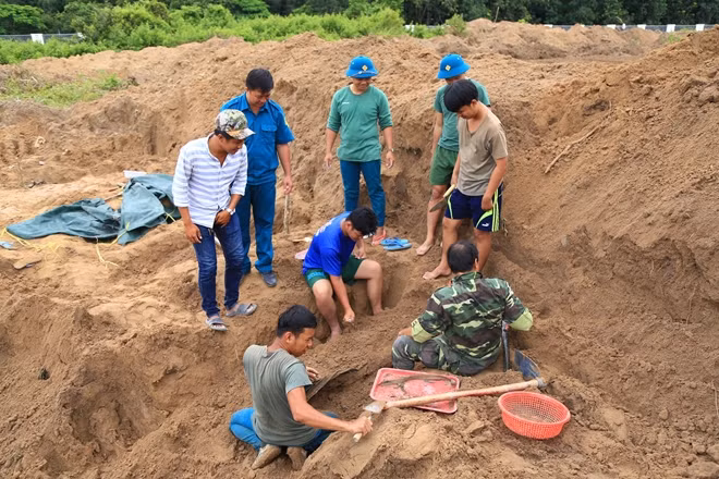 Khu đất tìm kiếm và khai quật mộ liệt sĩ