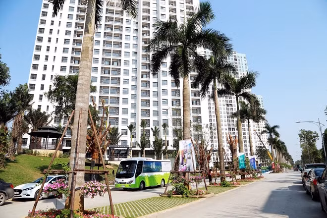 Hệ thống cây xanh, xe bus miễn phí đã hoạt động ngay từ ngày đầu bàn giao. Các khu công viên, đường dạo phủ bóng cây xanh là không gian tuyệt vời để thư giãn và tận hưởng cuộc sống.