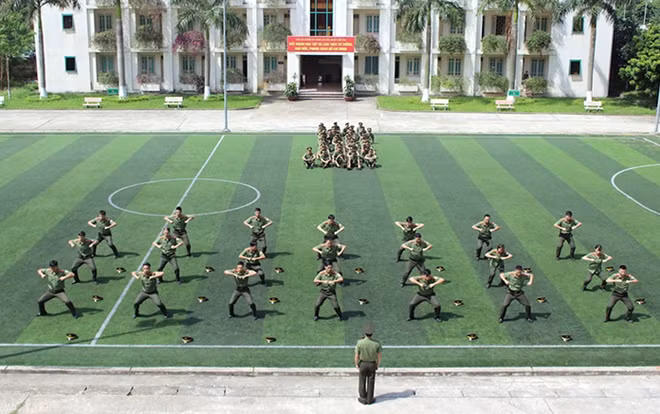 Luyện tập võ thuật.