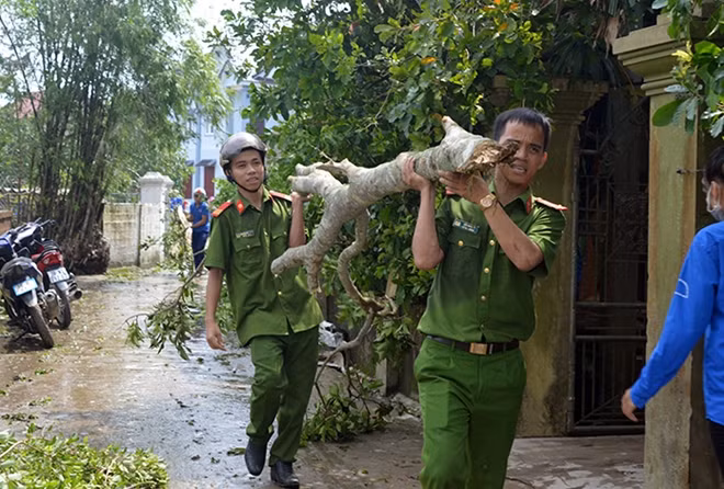 Dọn dẹp sau cơn bão.