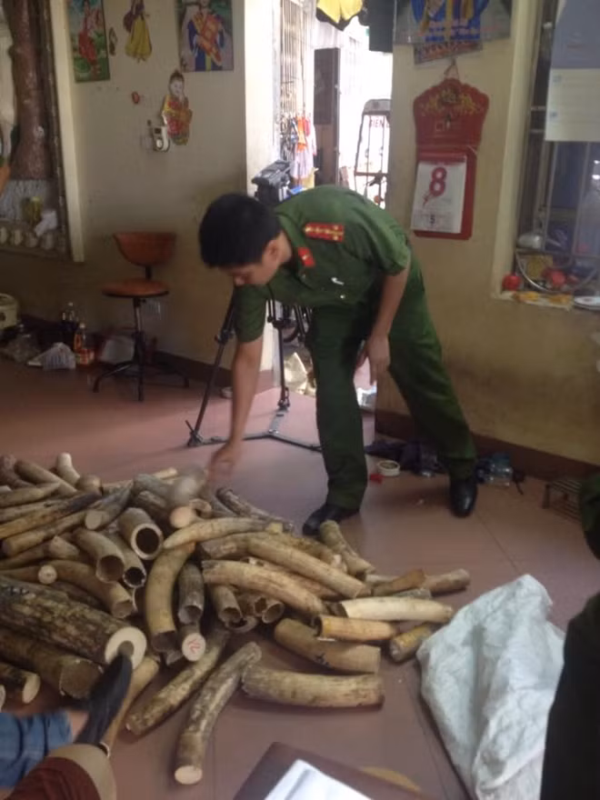 Số ngà voi thu giữ tại nhà đối tượng Kiên.