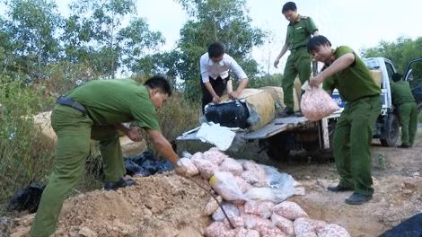 Công an Cam Lộ tiêu hủy sụn gà thối. Ảnh do Công an cung cấp. Công an Cam Lộ tiêu hủy sụn gà thối. Ảnh do Công an cung cấp.