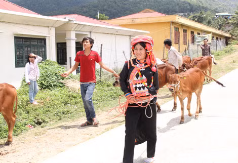 Niềm vui của người dân xã biên giới Ka Lăng được tặng bò giống. Niềm vui của người dân xã biên giới Ka Lăng được tặng bò giống.