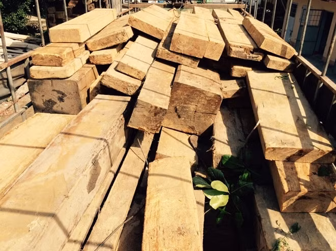 Số gỗ chở trên 2 xe tải bị lực lượng Công an tỉnh Đắk Lắk bắt giữ.