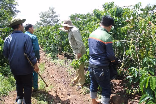 Hàng trăm người dân cùng các cơ quan chức năng đang tổ chức truy bắt nghi can.