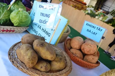 Khoai tây Đà Lạt và khoai tây Trung Quốc.