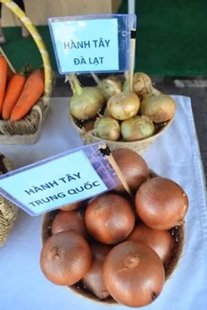 Hành tây Đà Lạt và hành tây Trung Quốc.