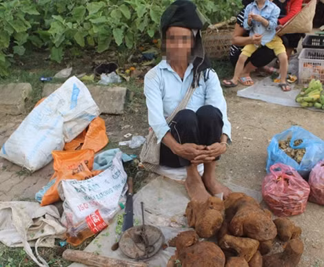 Những người phụ nữ nhặt nhạnh những thứ từ rừng đem bán nuôi gia đình.