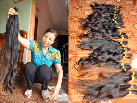 Do điều kiện công tác, bà Nha đã trở thành chủ chuyên thu gom tóc. - Mỗi kg tóc có giá tới 7,6 triệu đồng.