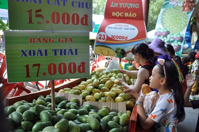 Xoài – một trong số các đặc sản nổi tiếng nhất của Nam Bộ được bày bán héo, nhỏ, kém chất lượng.