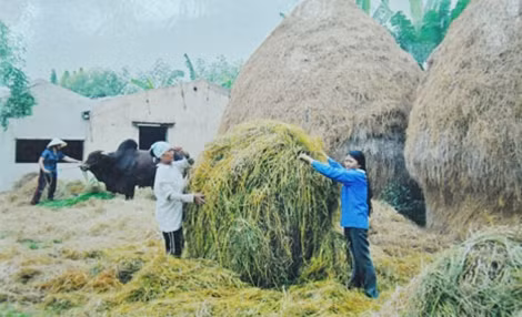 Dù là “trang trại không chồng” nhưng họ không thấy cô đơn.