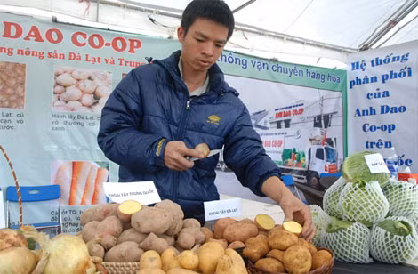 So sánh nông sản Đà Lạt với nông sản Trung Quốc để người sử dụng biết cách nhận diện.