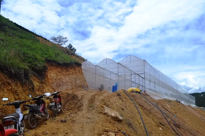 Điểm nóng về tình trạng san ủi đất tại khu vực hồ Đan Kia – Suối Vàng, huyện Lạc Dương (Lâm Đồng) chưa kịp lắng xuống thì nhiều quả đồi thông tại các phường 11, 12, xã Xuân Thọ, Tà Nung của TP Đà Lạt vốn đẹp như tranh vẽ lại bị “tùng xẻo” để lất đất sản xuất nông nghiệp.